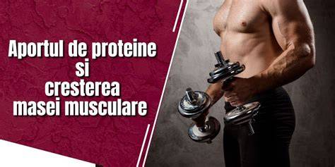 Diagramă: cortizol si impact asupra masei musculare