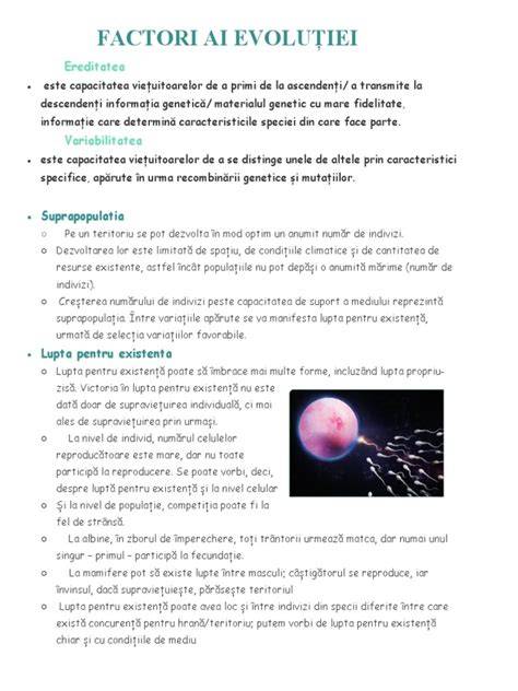 Grafic: etape si factori ai celulitei