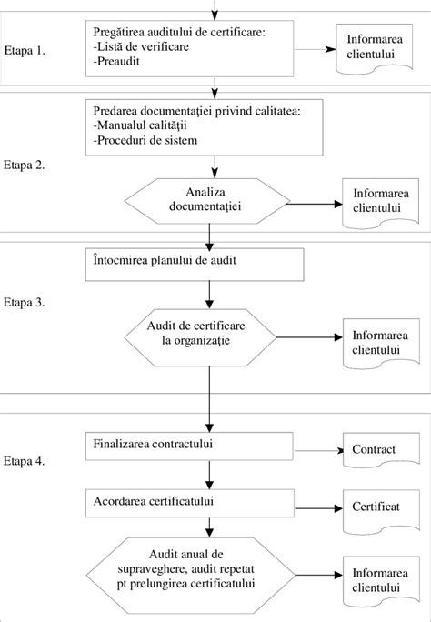 Schema procesului de digestie a proteinelor