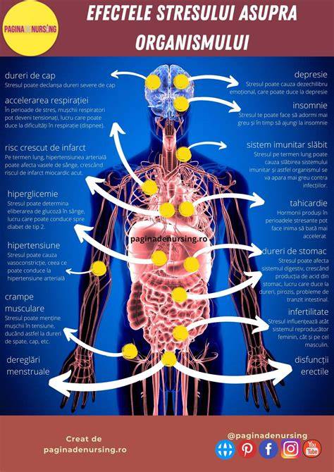 Infografic despre mecanismele fiziologice ale stresului prenatal si impactul asupra axei HPA