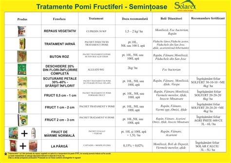 Schema decizionala: ce tratamente sunt permise in sarcină