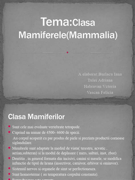 schemă evoluționară a mamiferelor