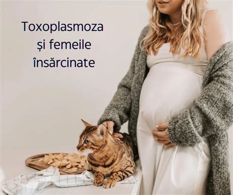 Infografic - Toxoplasmoza la gravide: cum se transmite si cum se previne
