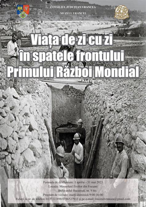 Infografic: cum să folosești citatele în viața de zi cu zi