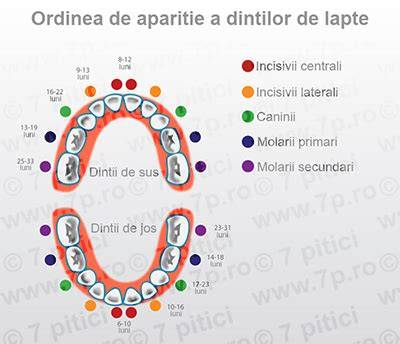 Schema eruperii dintilor de lapte si intervalele tipice