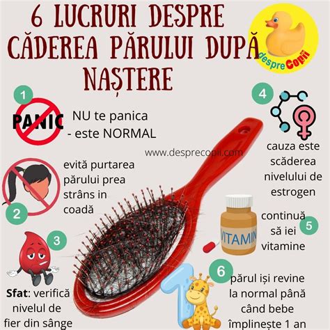 Schema modificarilor parului in sarcina si dupa nastere