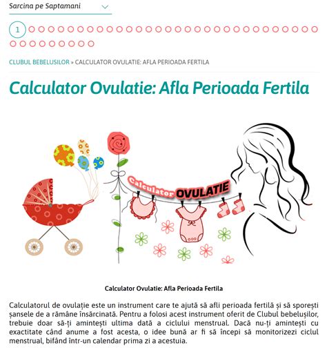 Diagramă: completarea screeningului de fertilitate la cuplu (pași, analize, decizii)