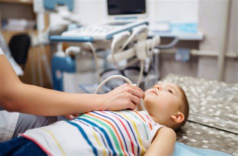 Diagrame: tipuri de ecografii pediatrică (abdomen, inimă, cap)