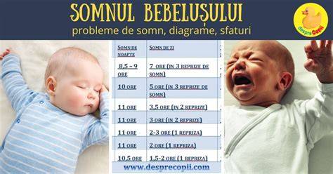 Infografie: Ciclu de somn al bebelusului si momentele de trezire