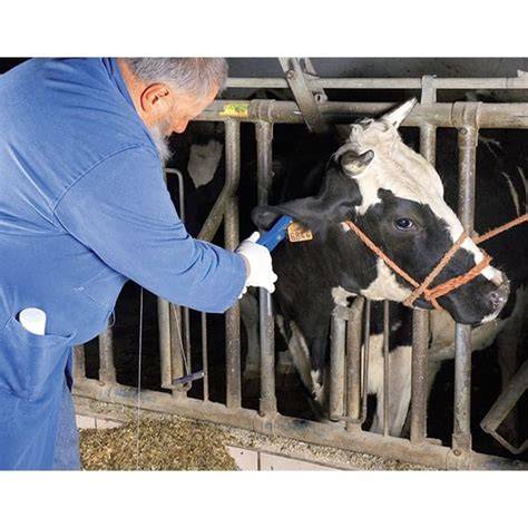 deparazitare capre aplicare injectabila