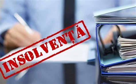 Schema organizării procedurii de insolvență în România