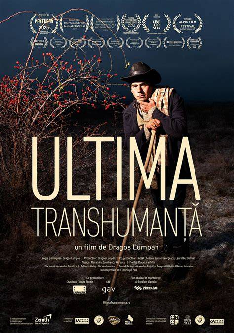 ciobani cu turmă în transhumanță