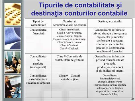 Diagrame: tipuri de contabilitate și rolul lor