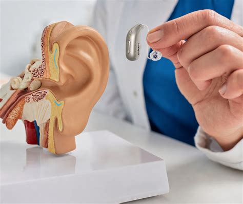 Infografie: Țiuit în urechi în timpul sarcinii - posibile cauze, simptome și pași de diagnostic