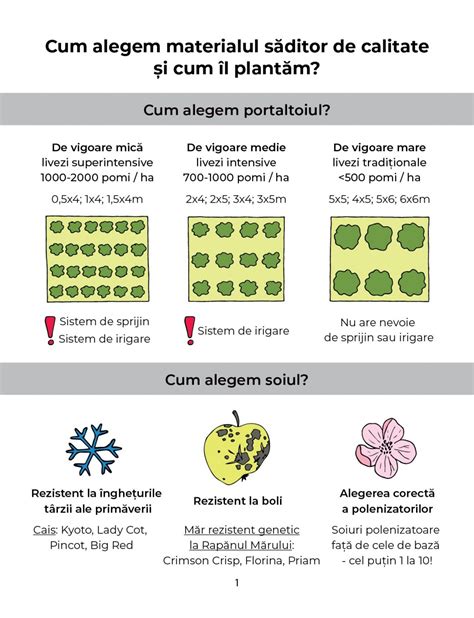 Infografic: Cum alegem materialul in functie de destinatia proiectului