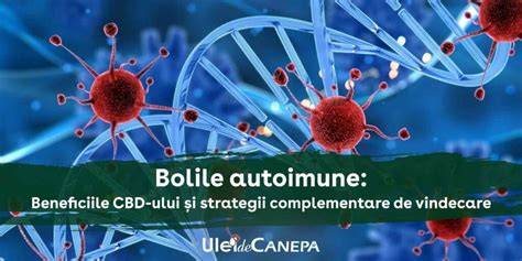 Infografic: mecanismele autoimune în vitiligo