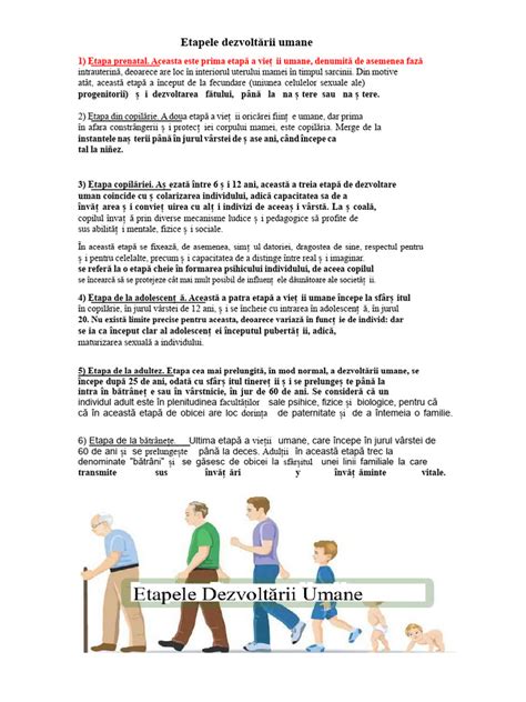 Infografie: etapele dezvoltării embrionare până la naștere