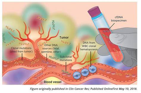 Diagnoza PGT: biopsia embrionului și tehnologia NGS