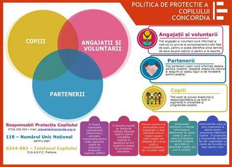 Schema procesului de protecție a copilului și opțiuni de plasament