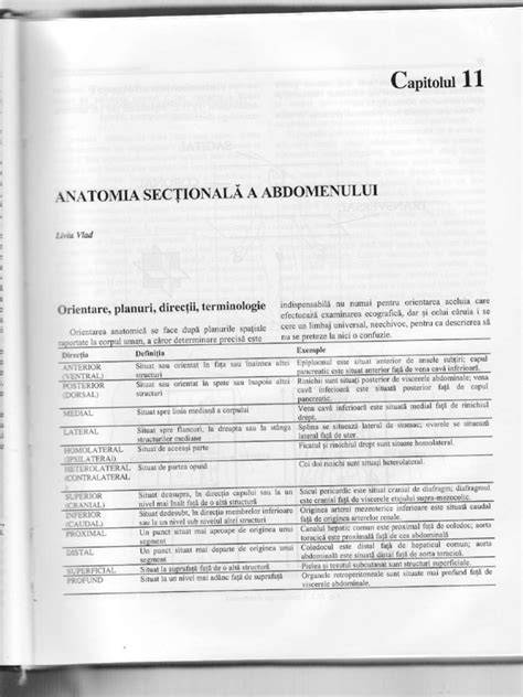 Infografic: „Anatomia cadranului abdomenului stâng”