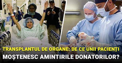 Diagramă: Actorii implicați în transplantul de organe (donator, primitor, medic, comisie)