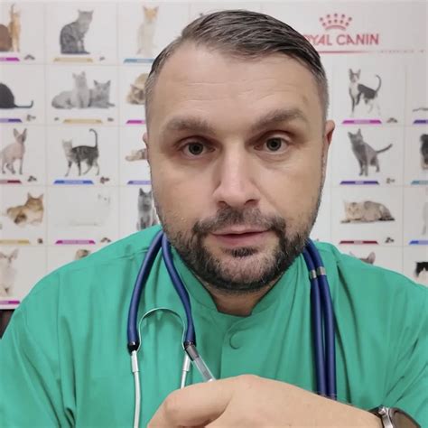 Ilustrație a bacteriilor și virușilor care pot cauza infecții.