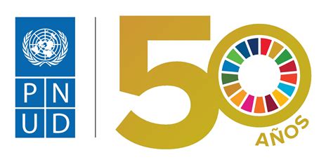 Logo PNUD Moldova