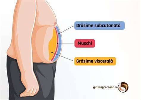 Grafice: influența grăsimii viscerale asupra riscului metabolic