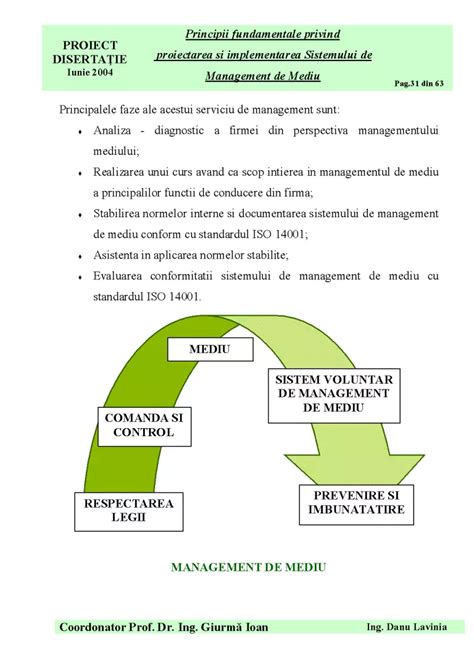 Infographic: Cascada IIC, riscuri și principii de management