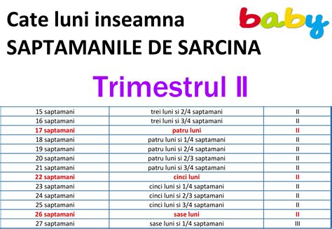 Calendar sarcina trimestrul 1