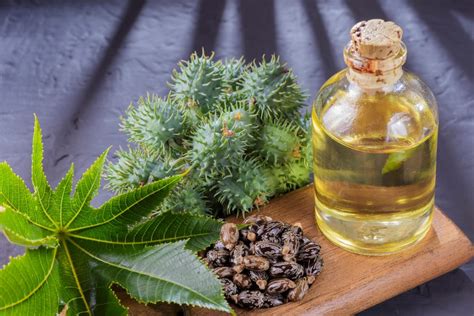 Imagine: Schema unei măști de păr cu ulei de ricin aplicată pe scalp