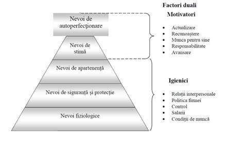 Diagramă: Factorii de igienă vs. Factorii de motivare (Herzberg) în context organizațional