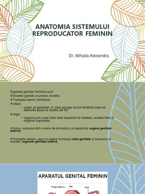 Infografic: Elemente ale sistemului reproducator feminin si principii ale afectiunilor Ginecologice