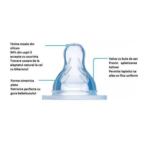 Schema cu tetine normale și tetine suplimentare la vacă