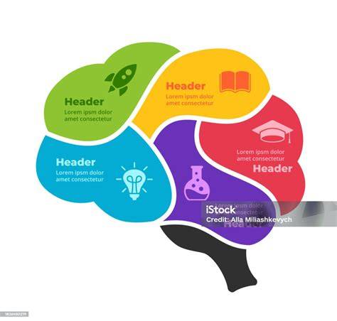 Infografic - Mecanismul remodelează creierul pentru multitasking