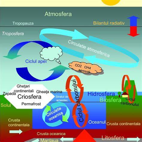Figura 1: reprezentare schematică a structurilor glandei mamare la rumegătoare