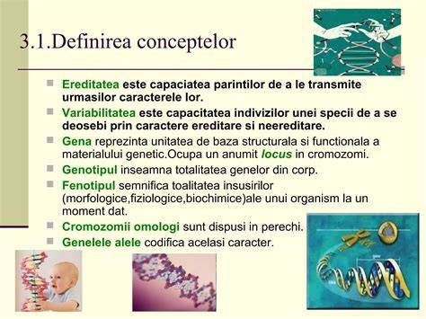 Infografic: Cum se transmite ereditatea prin mamă (mitocondrial, autosomal, X-linkată)