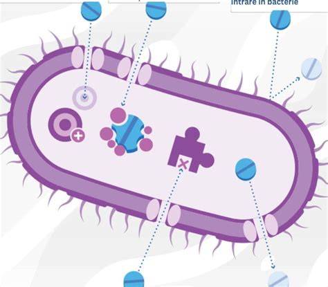 Infografic: gene paterne și cum se transmit trăsăturile