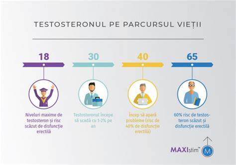 Infografic: Calea de secretie a testosteronului de la creier la testicule