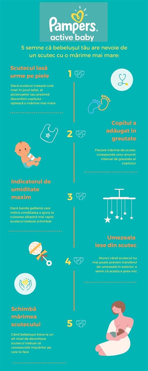 Infografic cu caracteristicile unui scutec bun