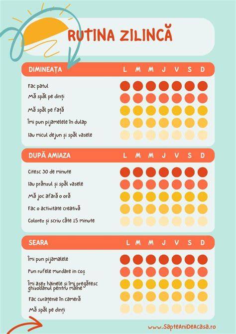 Infografic cu programma zilnică tipică: Before School, After School și activități de vară.