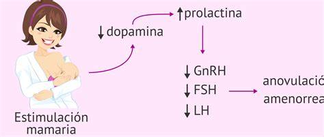 Infografic: „Schema lant hormonal lactatie - prolactina si oxitocina”