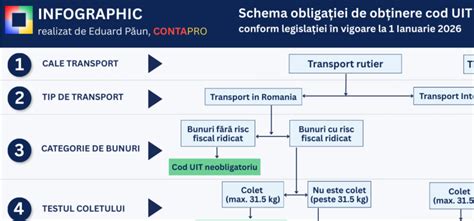 Schema diagnostic: pași de la prelevare la antibiogramă