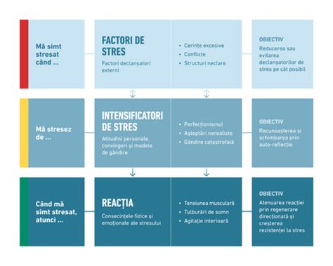 Diagramă relaționale între emoții, stres și manifestări somatice în afecțiuni ginecologice