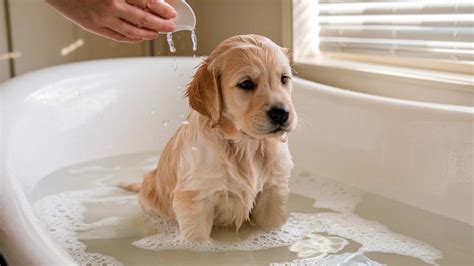 Frecvența controalelor ginecologice în funcție de vârstă