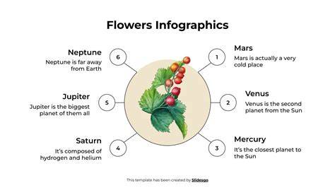 infographic-flora-vaginala.jpg