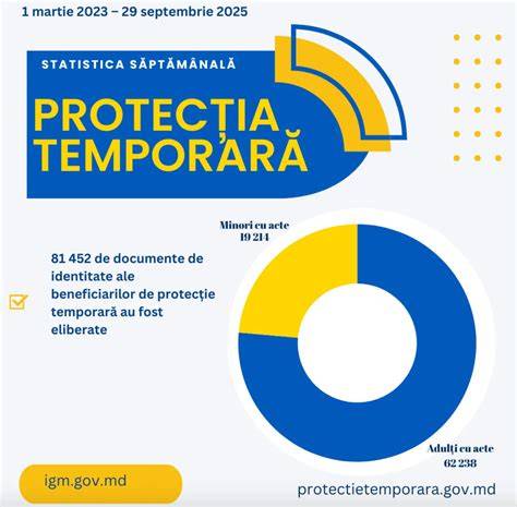 Diagramă: etape protecție salariată însărcinată în România