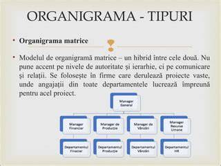 Infografic: organigrama Complexului Prichindelul si cele trei centre