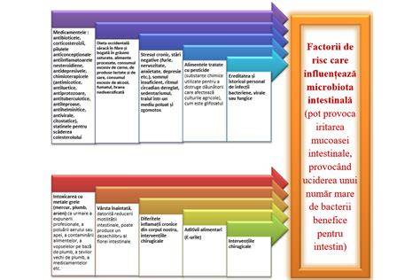 Diagrame care ilustrează tipurile ADHD and factorii de risc prenatal