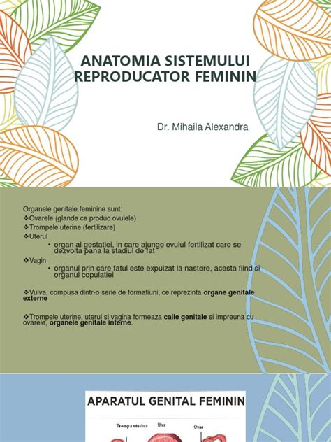 Infografic: Anatomia aparatului reproducator feminin si ariile comune ale interventiilor chirurgicale laparoscopice